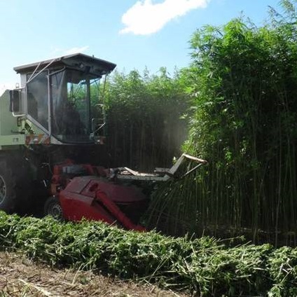 REGISTRATION FOR INDUSTRIAL HEMP CULTIVATION IS NOW AVAILABLE