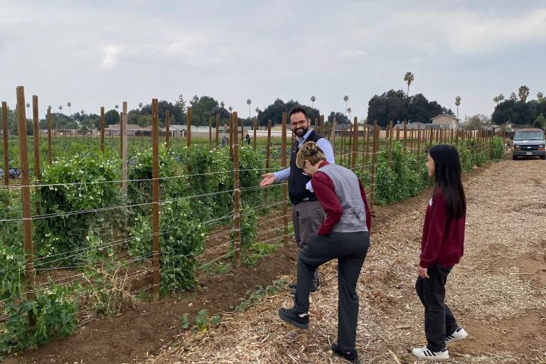 Verifying a local Certified Producer