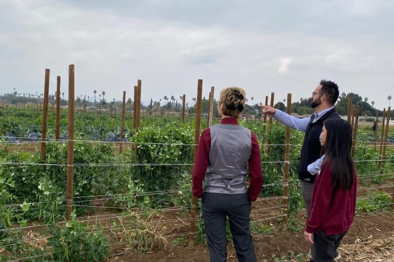 Verifying a local Certified Producer