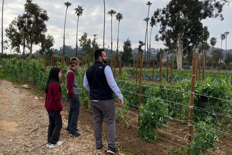 Verifying a local Certified Producer
