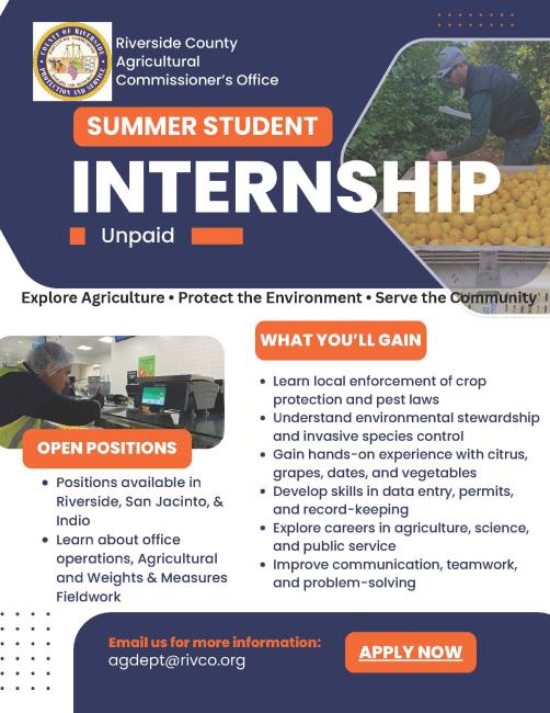 internship flyer