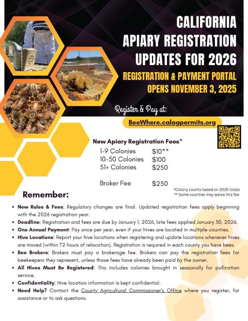 Bee Flyer 2026