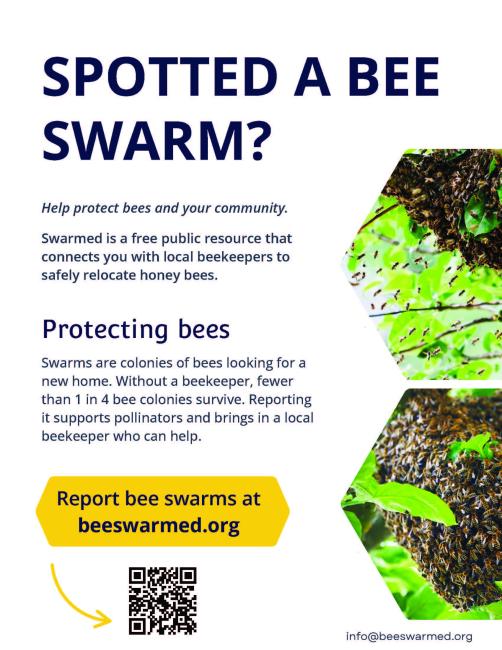Swarm