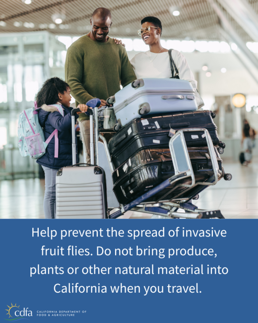 Help Prevent the Spread of Invasive Fruit Flies
