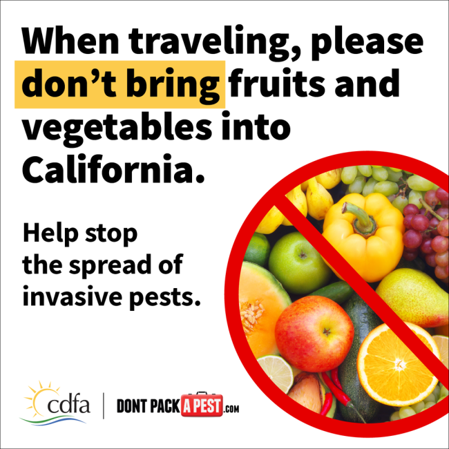 Don't Bring Fruits and Vegetables into CA