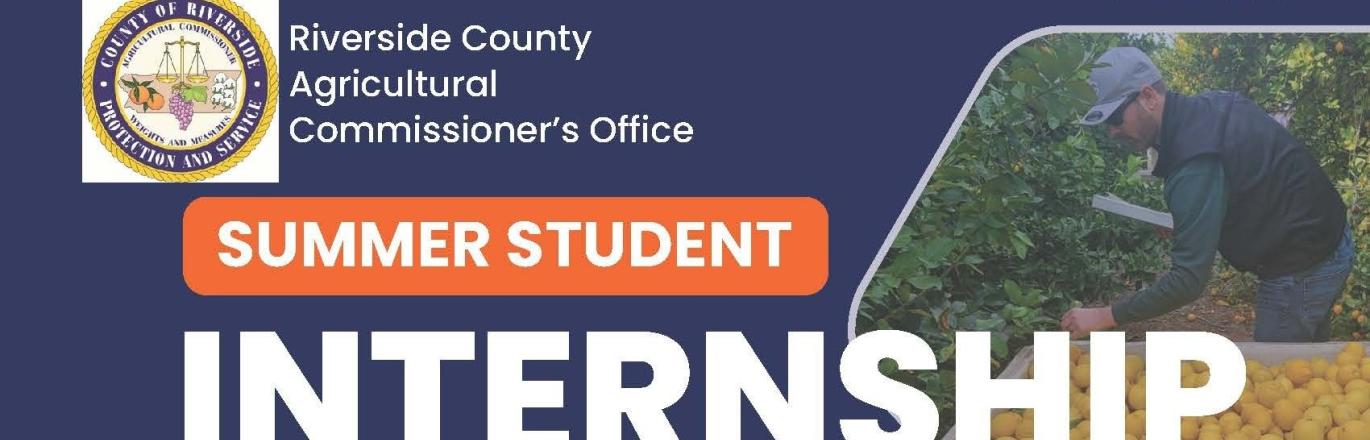 internship banner