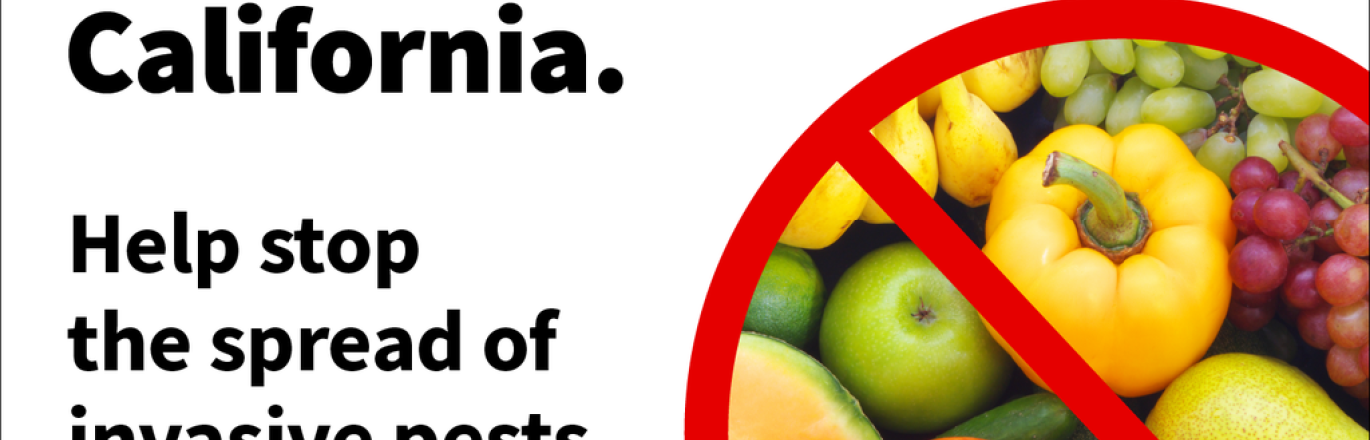 Don't Bring Fruits and Vegetables into CA