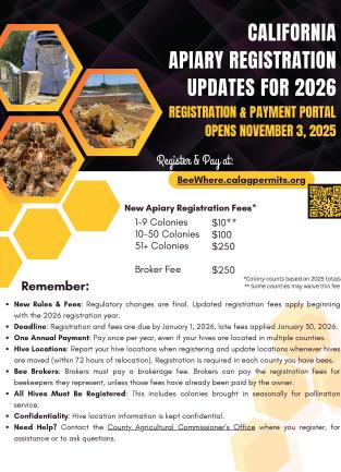 Bee Flyer 2026