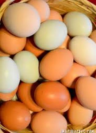 eggs