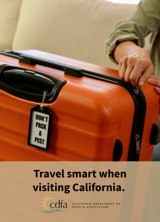 Travel Smart